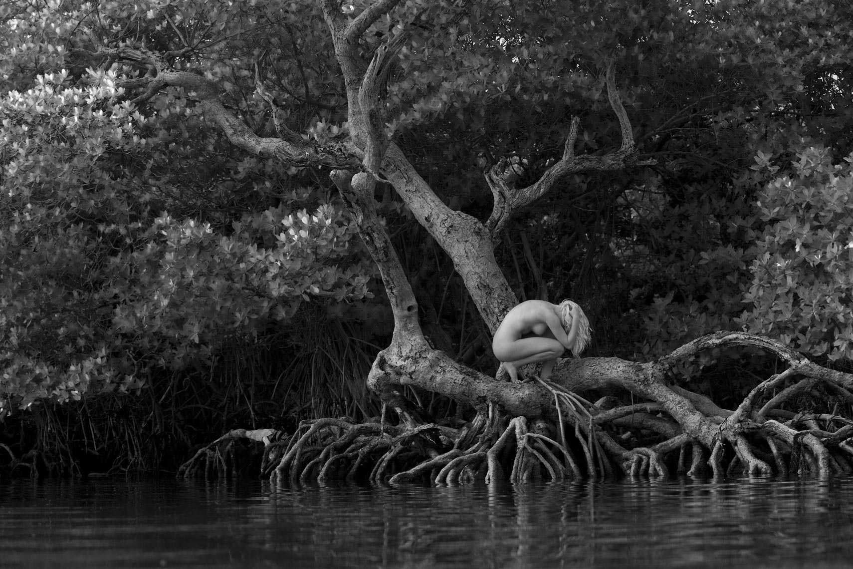 10-fine-art-sam-in-mangrove-book