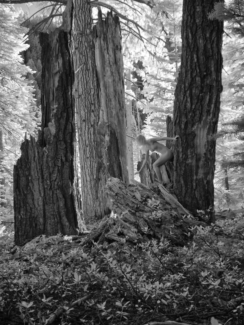 27-Grace-crumbling-redwood-leaning-to-touchsomething