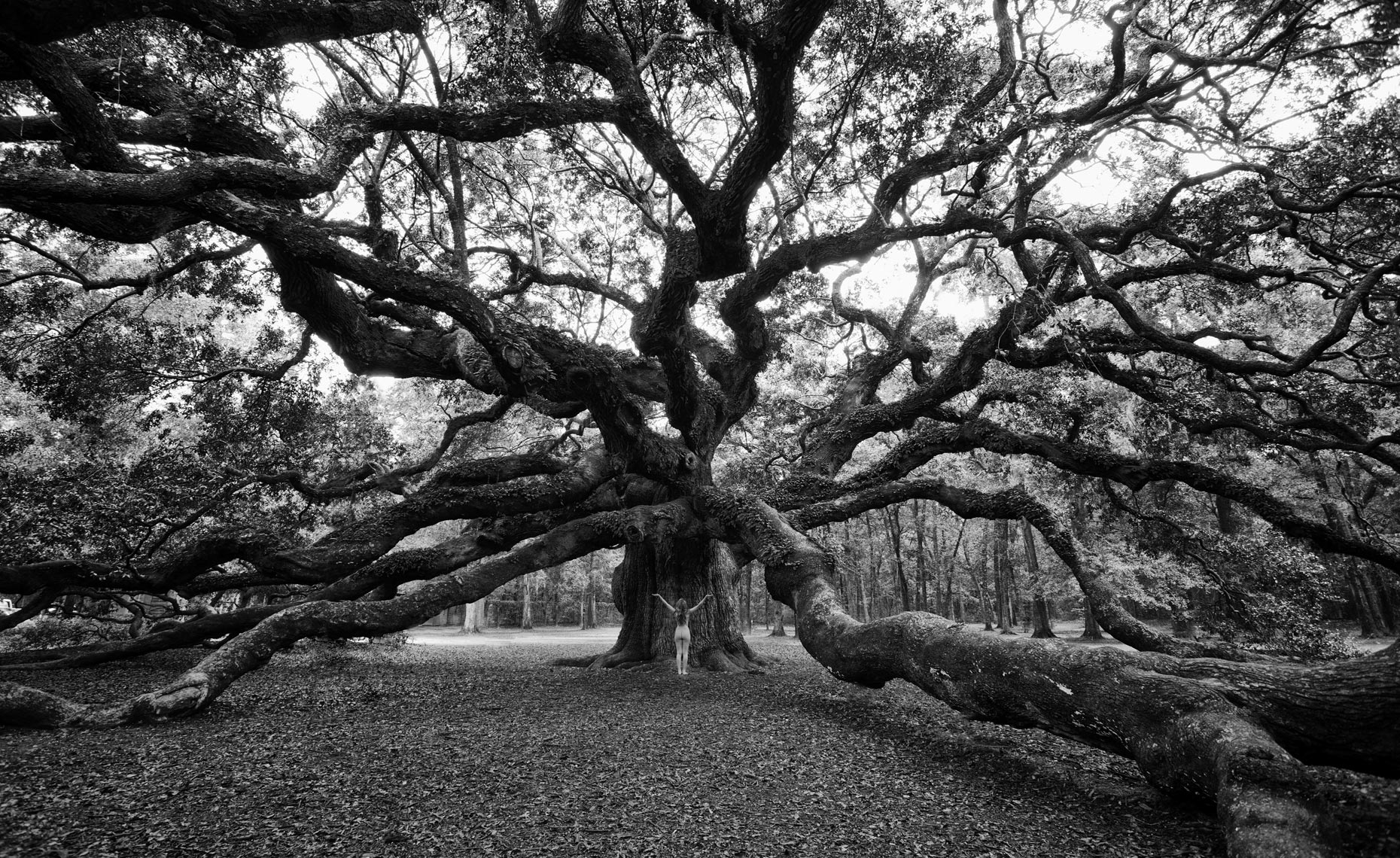 3-katie-angel-oak
