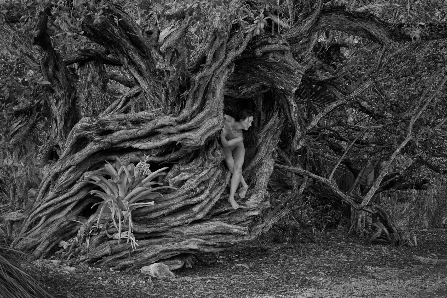 6-kelly-in-buttonwood-bw-for-show